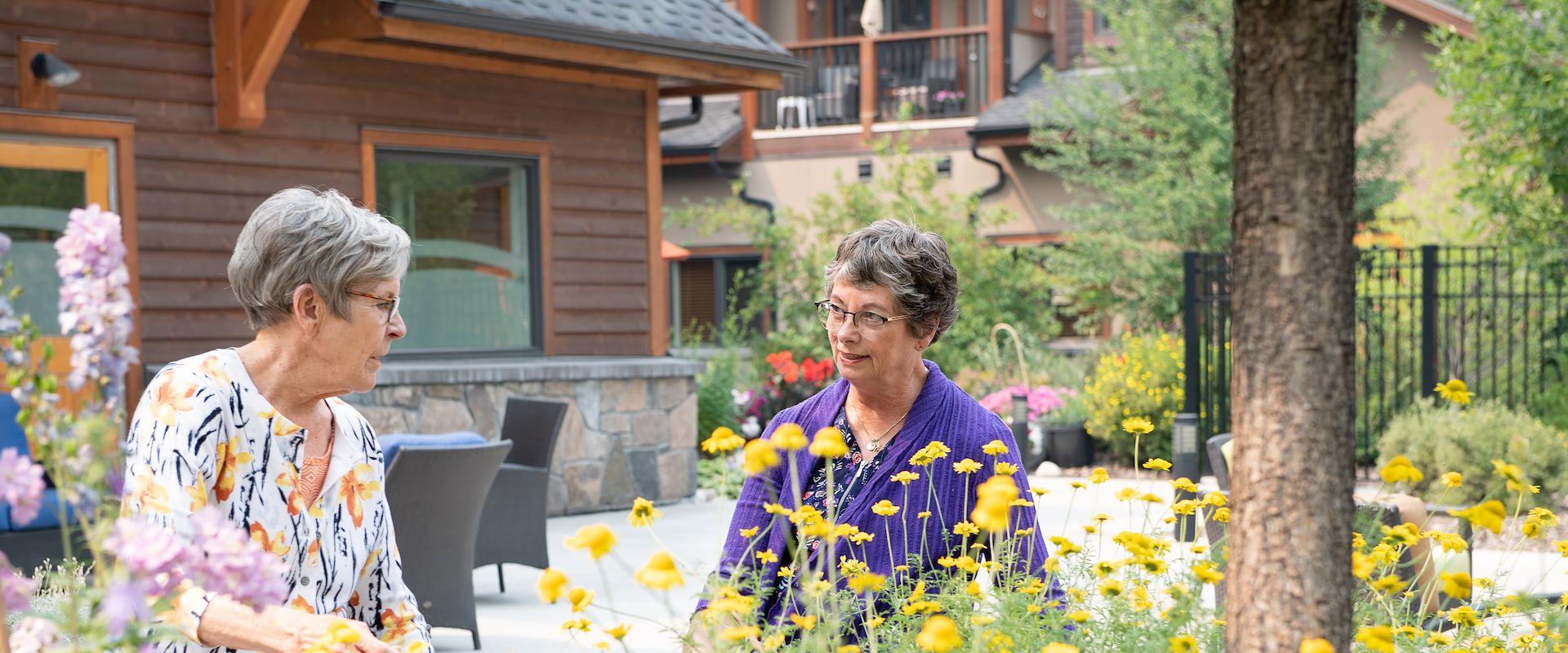 A female senior resident with a white floral shirt and another female senior resident with a purple sweater stand behind bright yellow flowers with vibrant green leaves as they tend to the garden bed in the courtyard.